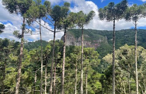 Urubici Chalet De Esquí | Eco Cabanas Kaapuã - Guaraipo