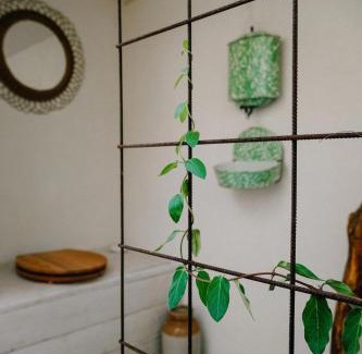 Jemelle Casa | Eco-friendly Welness Tiny House in Liglet