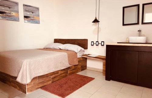 Centro histórico de Mazatlán Hotel | Eco-Hotel Black Tree