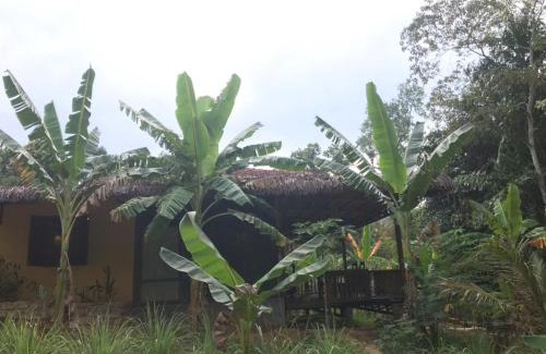 Cua Can Village Cabina | Eco Lagoon Countryside Art Retreat