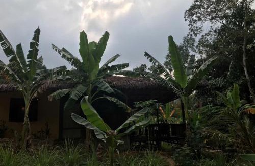 Cua Can Village Cabina | Eco Lagoon Countryside Art Retreat