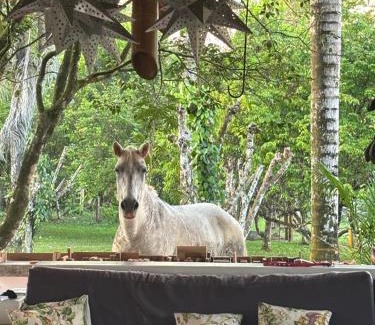 Puerto Jiménez Casa | Eco Lodge near Corcovado, 400m to Beach on a Peaceful Private Reserve