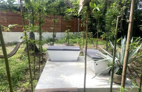 Saladita Apartamento | Eco Retreat 100m from La Saladita Surf -Templo Master Casa