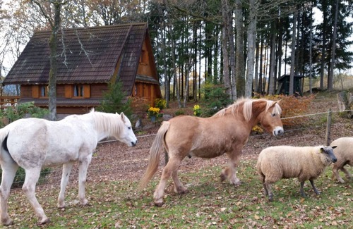 Colroy-la-Grande Casa | Eco-site Epona "La Mini Ferme"
