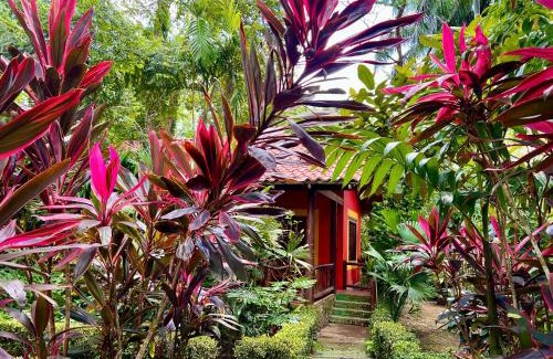 Portalon Cama Y Desayuno | Eco Zaru, Experience Authentic Costa Rican Jungle & Ocean Bliss