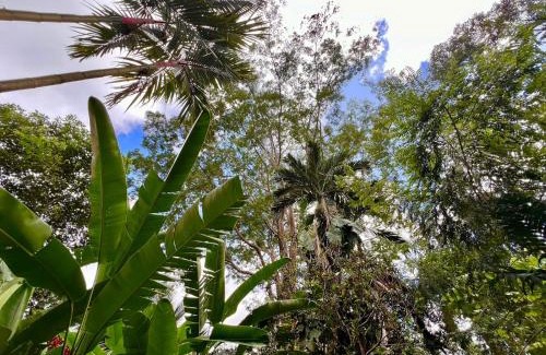 Portalon Cama Y Desayuno | Eco Zaru, Experience Authentic Costa Rican Jungle & Ocean Bliss