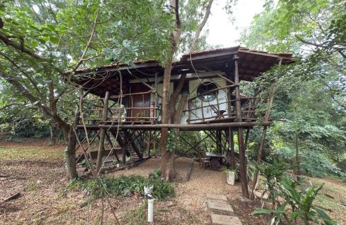 Sao Pedro Cabina | Ecocentro Brasil - Bangalô Flamboyant