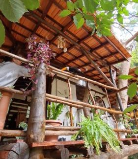 Sao Pedro Cabina | Ecocentro Brasil - Bangalô Flamboyant