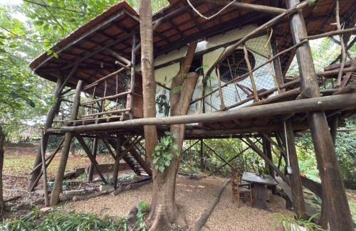 Sao Pedro Cabina | Ecocentro Brasil - Bangalô Flamboyant