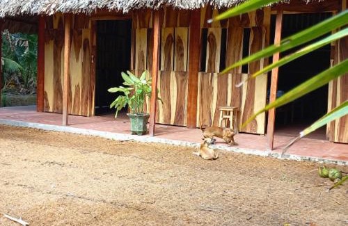 Giong Trom Otro | Ecoco Homestay Mekong