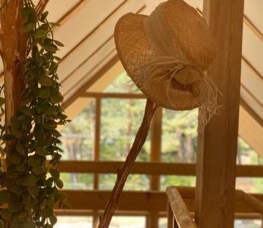 Borjomi Chalet De Esquí | EcoCottage Didi Mindori - Among the Pines