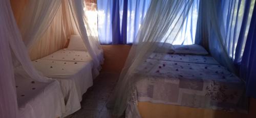 Rosario Islands Cabina | ECOHOTEL LAS FLORES Econativo