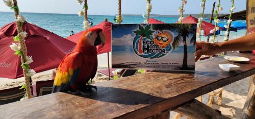 Bocachica Apartamento | Ecohotelhector