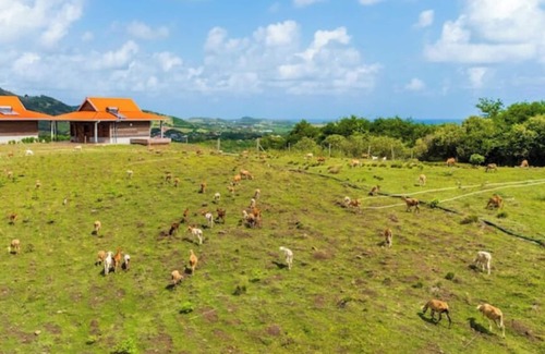 Le Vauclin Cabina | Ecolodge OKO en Pleine Nature