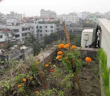 Dhaka Apartamento | Econ Stay in New Apartment, Jigatola, Dhanmondi, Dhaka, Bangladesh