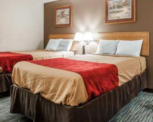 Jackson Hotel | Econo Lodge Inn & Suites Jackson Northwest