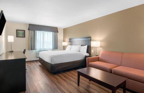 Springfield Hotel | Econo Lodge Inn & Suites