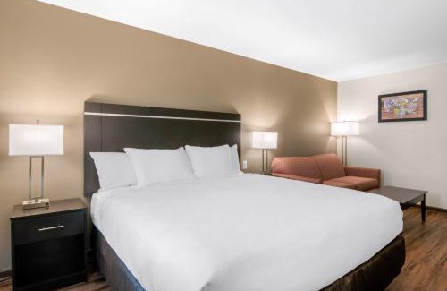 Springfield Hotel | Econo Lodge Inn & Suites