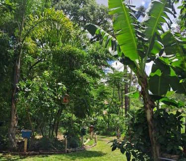 Sao Lourenco do Oeste Casa | EcoPousada - Sitio Aborigene