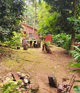 St. Ann's Bay Cabina | Ecoscape Jamaica - Lavish 1-br cottage by the river
