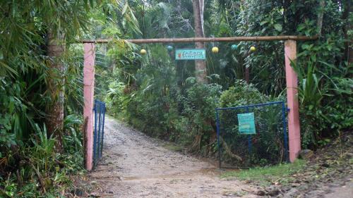 Las Terrenas Cabina | Ecotopía Park