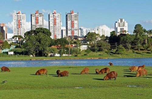 Bigorrilho Apartamento | Ed. Vitoria | Bairro mais requisitado de Curitiba | Gonzaga Stays