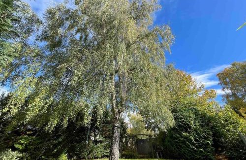 Bamford Casa | Edge view, outdoor adventure focused cottage, sleeps 8