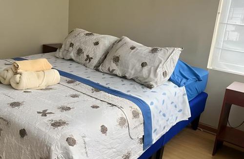 Temuco Apartamento | Edificio Nueva Trizano