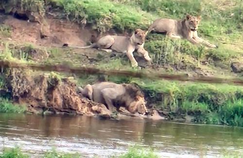 Marloth Park Casa | Edjami Lodge