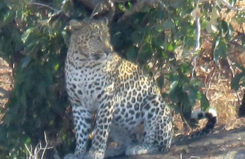 Marloth Park Casa | Edjami Lodge