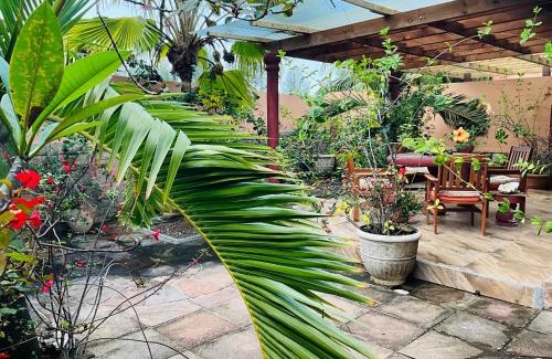 Zig Zag Ward Apartamento | Effie Mountain View coco villa