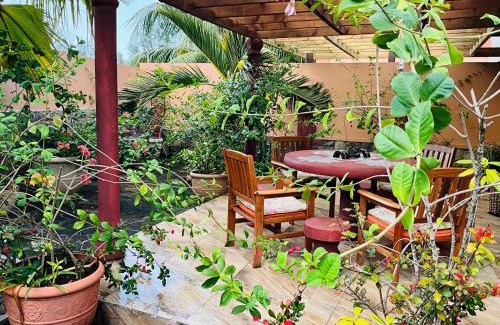 Zig Zag Ward Apartamento | Effie Mountain View coco villa