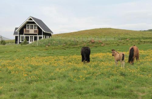 Akureyri Casa | Efri-Rauðilækur in Hörgársveit