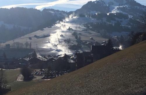 Zweisimmen Apartamento | Eggetli