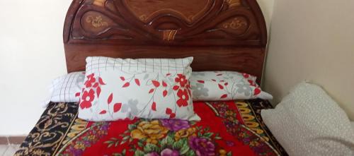 Abu Hammad Casa | Egyptian country house
