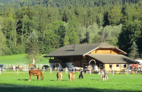 Brienzwiler Casa | Eichhof Brienzwiler Berner Oberland