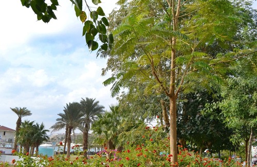 Eilat Apartamento | Ein Bokek Rose - Three Bedroom Apartment, Sleeps 6