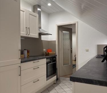 Limbach-Oberfrohna Apartamento | Einfamilienhaus unterm Dach