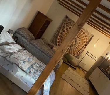 Frankisch-Crumbach Apartamento | Einzimmerapartment mit Fass Sauna (und Pool)