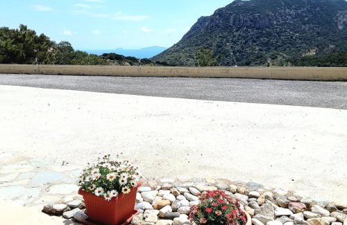 Kefalos Apartamento | Eirini