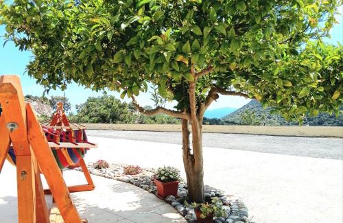 Kefalos Apartamento | Eirini