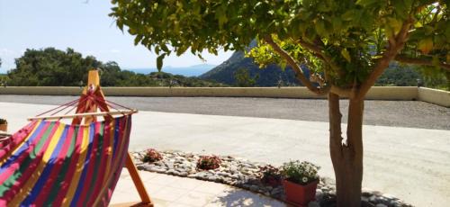 Kefalos Apartamento | Eirini