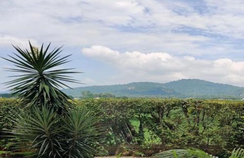 Dhela Apartamento | Eiyuu Hotels - Corbett Wildlife & Nature Stays