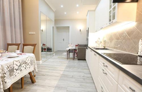 Swiebodzin Apartamento | Ekskluzywny apartament w pałacu z parkiem Palac Chociule