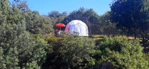 Guatavita Otro | El Alpino Cabaña Glamping & Camping