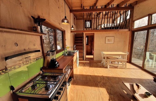 Lonquimay Cabina | Cabaña Lonquimay