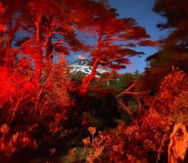 Pucon Casa | El Awen Domos