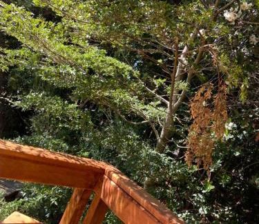 Pucon Casa | El Awen Domos