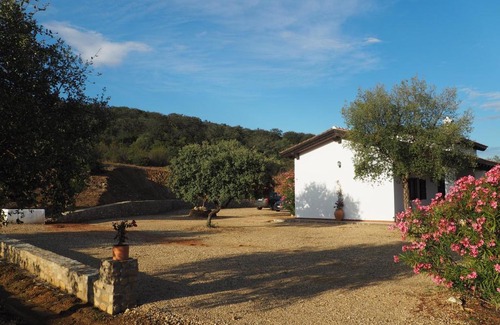 El Castillo de las Guardas Casa | El Cañuelo de Casa Román