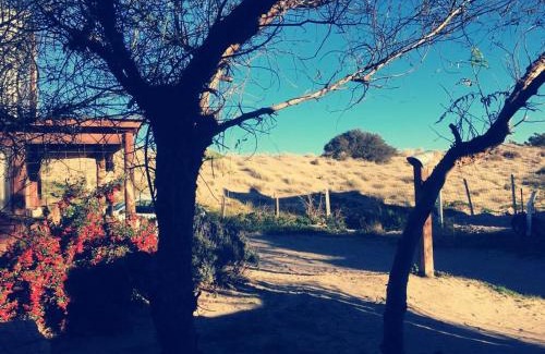 Puerto Pirámides Apartamento | El Canto de la Ballena Loft 1